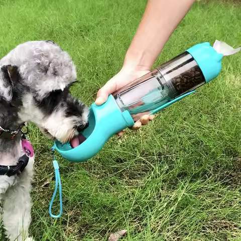 PawPort: The Ultimate Travel Buddy for Your Pet 🐾